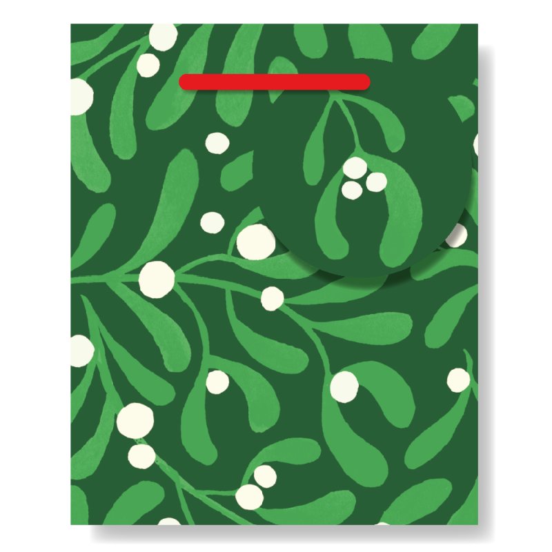 Christabelle Mistletoe Mug Gift Bag