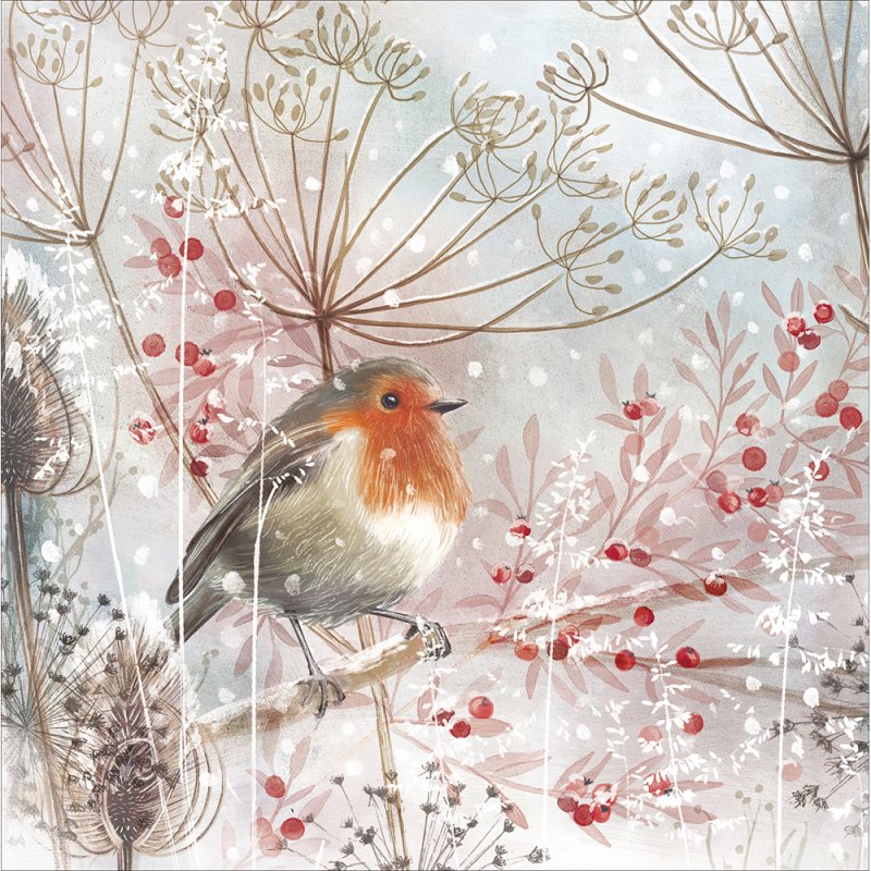 Sweet Robin Frosted Berries Christmas Card