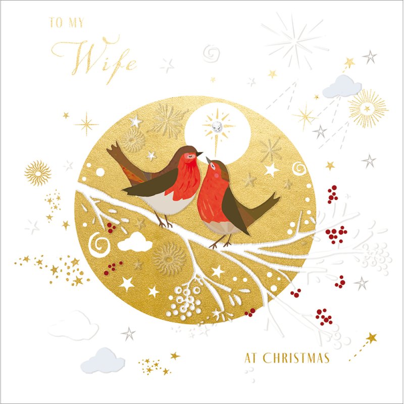 The Proper Mail Company Special Nights Robins Christmas Card for Wife