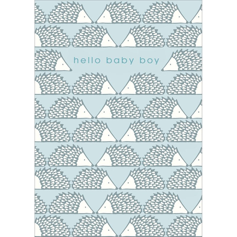 Hello Baby Boy Hedgehog Pattern New Baby Boy Card