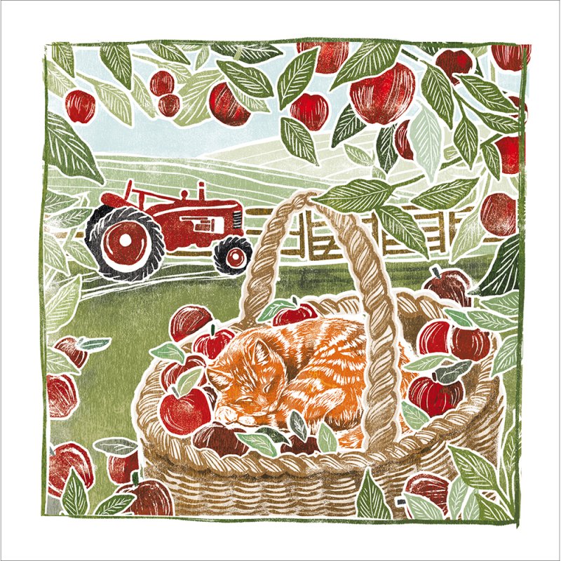 Oak Press Sleepy Afternoons Cat and Apples Blank Greetings Card