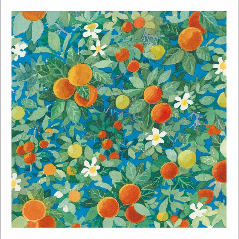 Pat Albeck Citrus Tree Blank Greetings Card