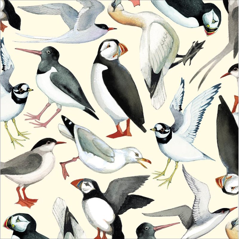Emma Bridgewater Seabirds Puffins Blank Greetings Card