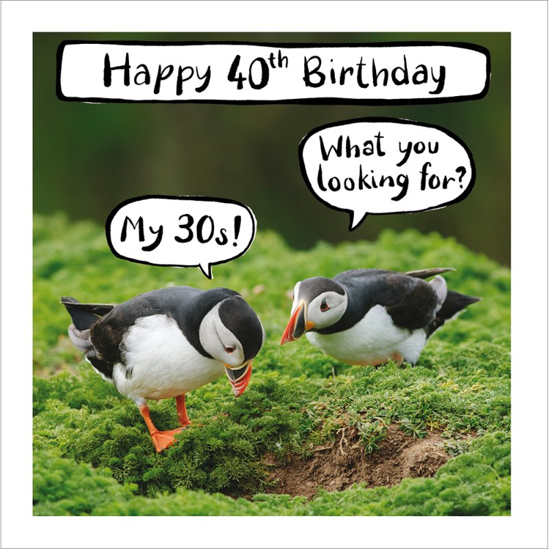 Birthday Search Puffins Funny 40th Birthday Card