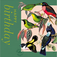 ZSL Tropical Birds Birthday Card