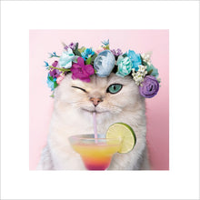 Shenanigangs Cocktail Cat Blank Greetings Card