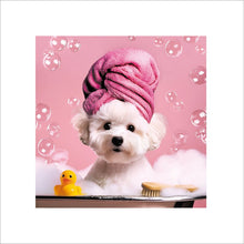 Shenanigangs Pamper Pooch Blank Greetings Card
