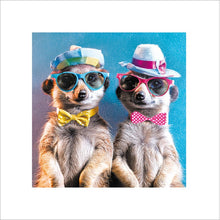 Shenanigangs Mischievous Meerkats Blank Greetings Card