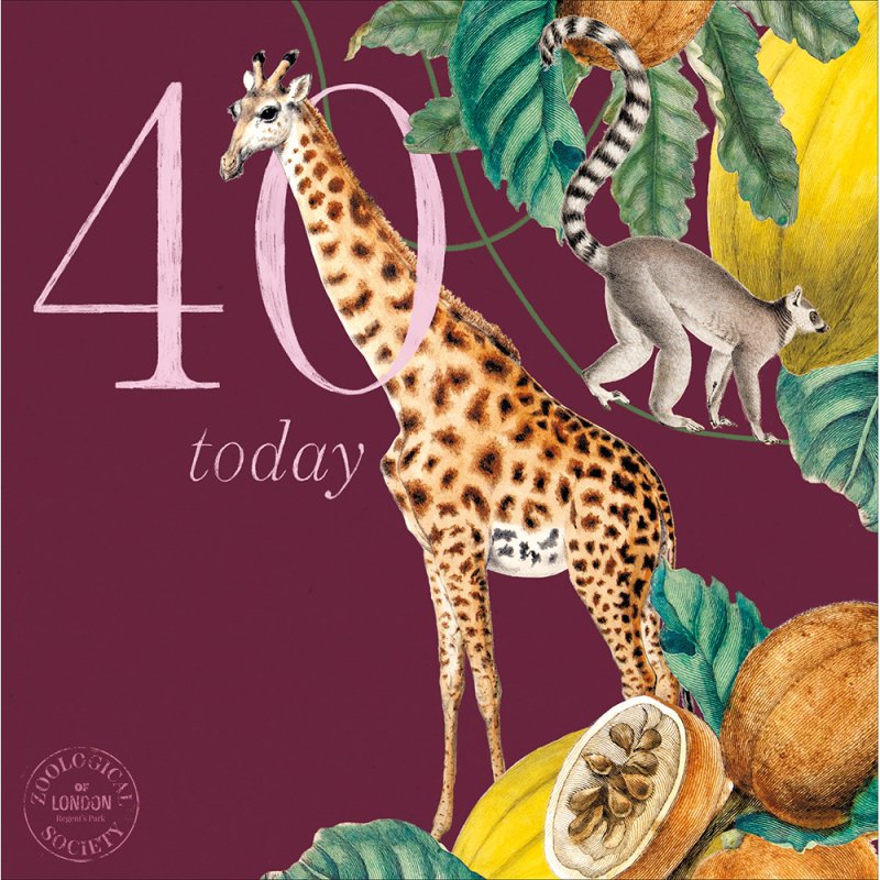 ZSL Tall-tastic Giraffe 40th Birthday Card