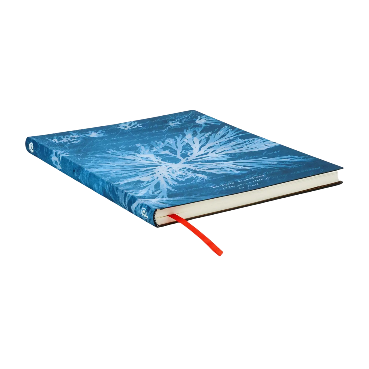 Paperblanks Sea Flowers Ultra Softback Flexi Journal – Plain, 176 Pages – page edge