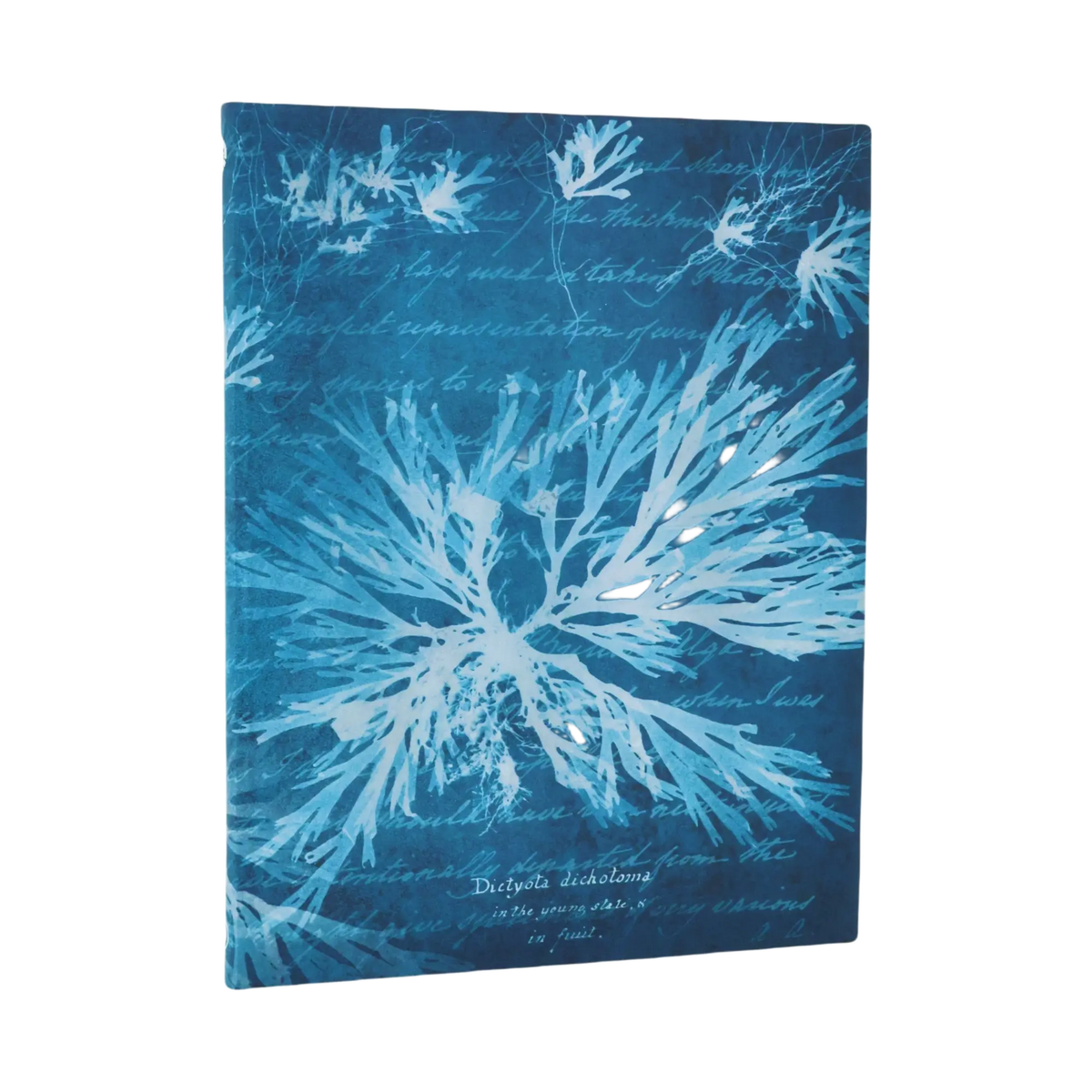 Paperblanks Sea Flowers Ultra Softback Flexi Journal – Plain, 176 Pages – front cover