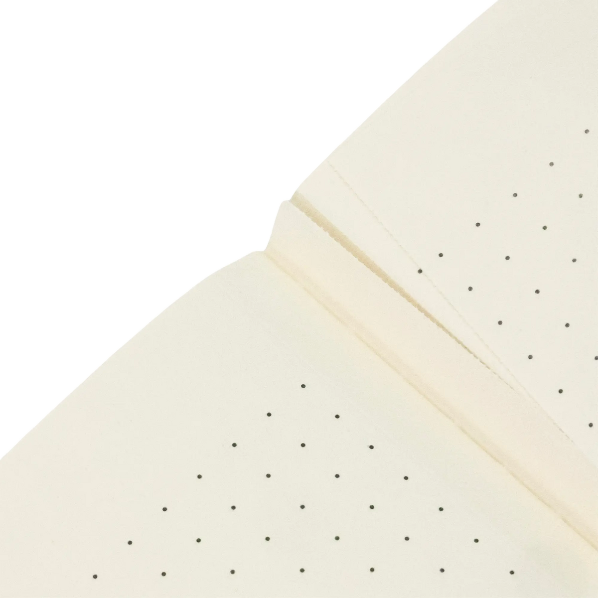 Paperblanks A New Journey A6 Cahier Notebook – Dot Grid – inside pages
