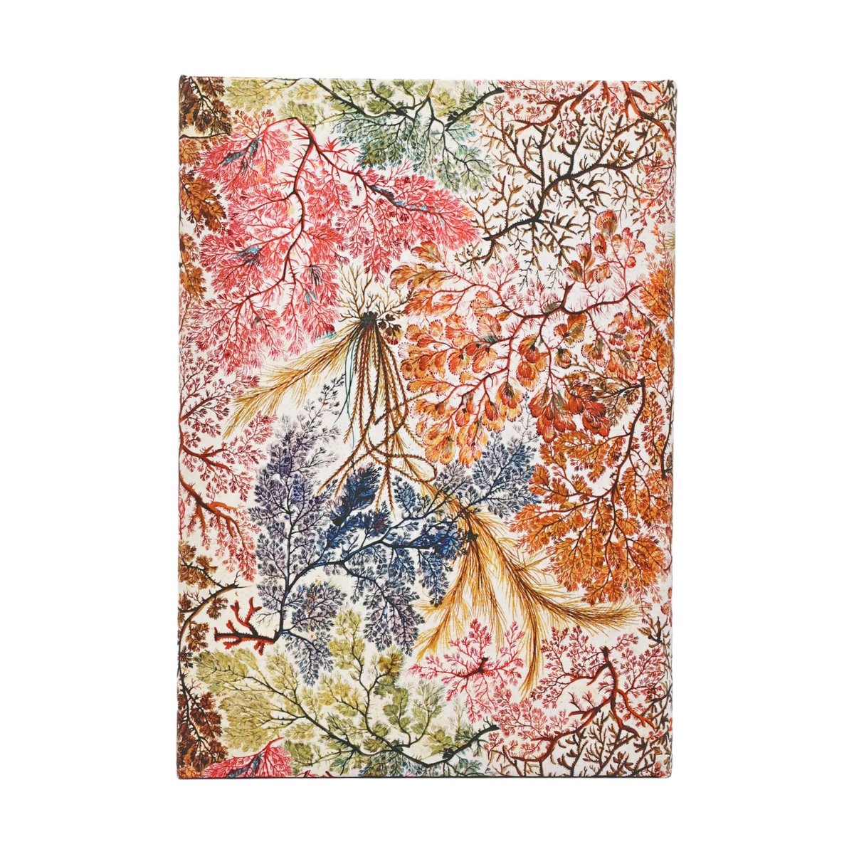 Paperblanks 2027 Anemone Midi Hardback Diary – Week-to-View Vertical – back cover
