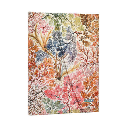 Paperblanks 2027 Anemone Midi Hardback Diary – Week-to-View Vertical – front cover