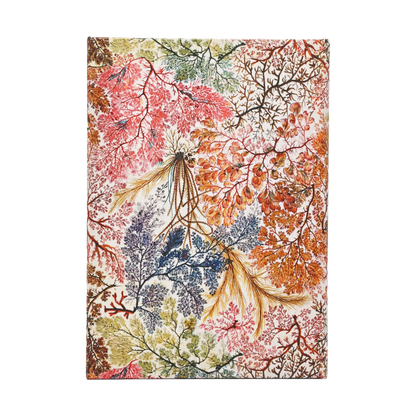 Paperblanks 2027 Anemone Midi Hardback Diary – Week-to-View with Notes (Verso) – back cover