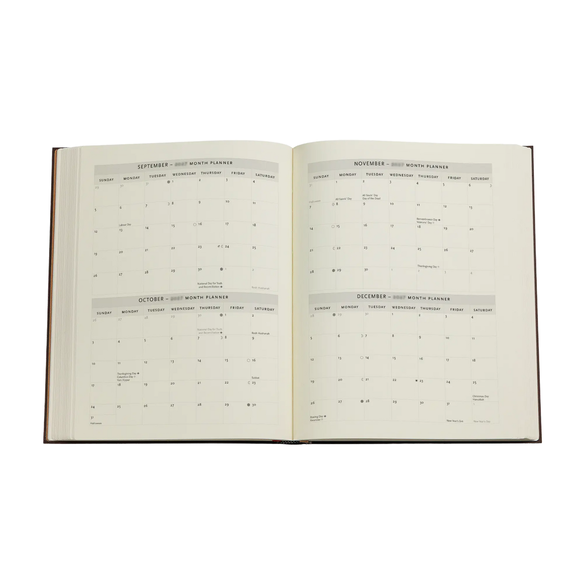 Paperblanks 2027 Carlo Collodi, Pinocchio Ultra Softback Flexi Diary – Day-per-Page – inside pages