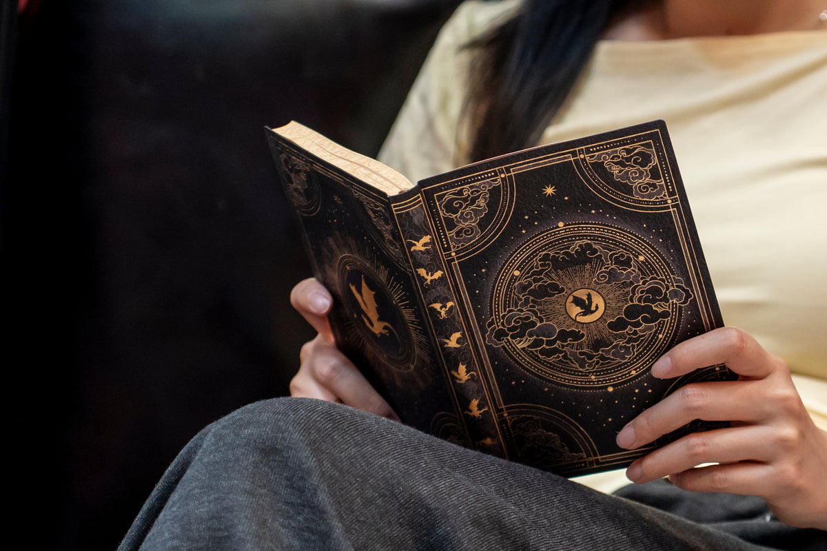 Paperblanks Shadows of Navarre Midi Softback Flexi Journal – Lined, 176 Pages – lifestyle image