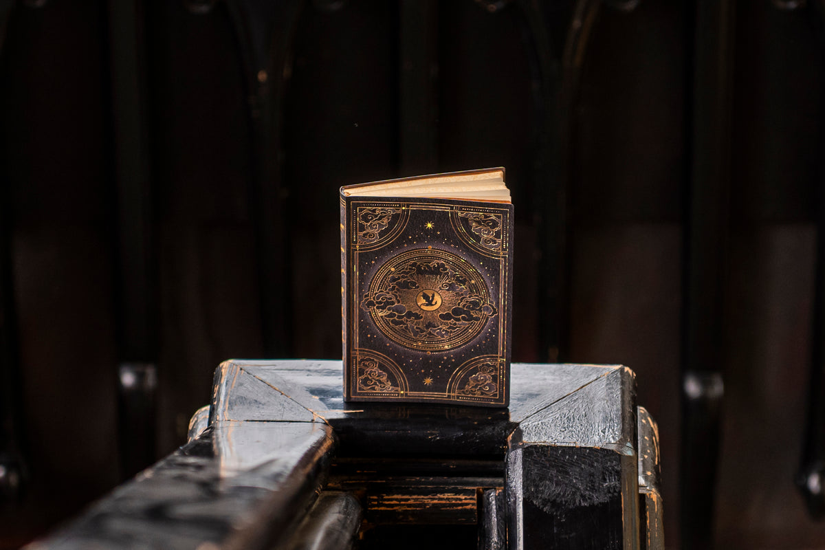 Paperblanks Shadows of Navarre Midi Softback Flexi Journal – Lined, 176 Pages – lifestyle image