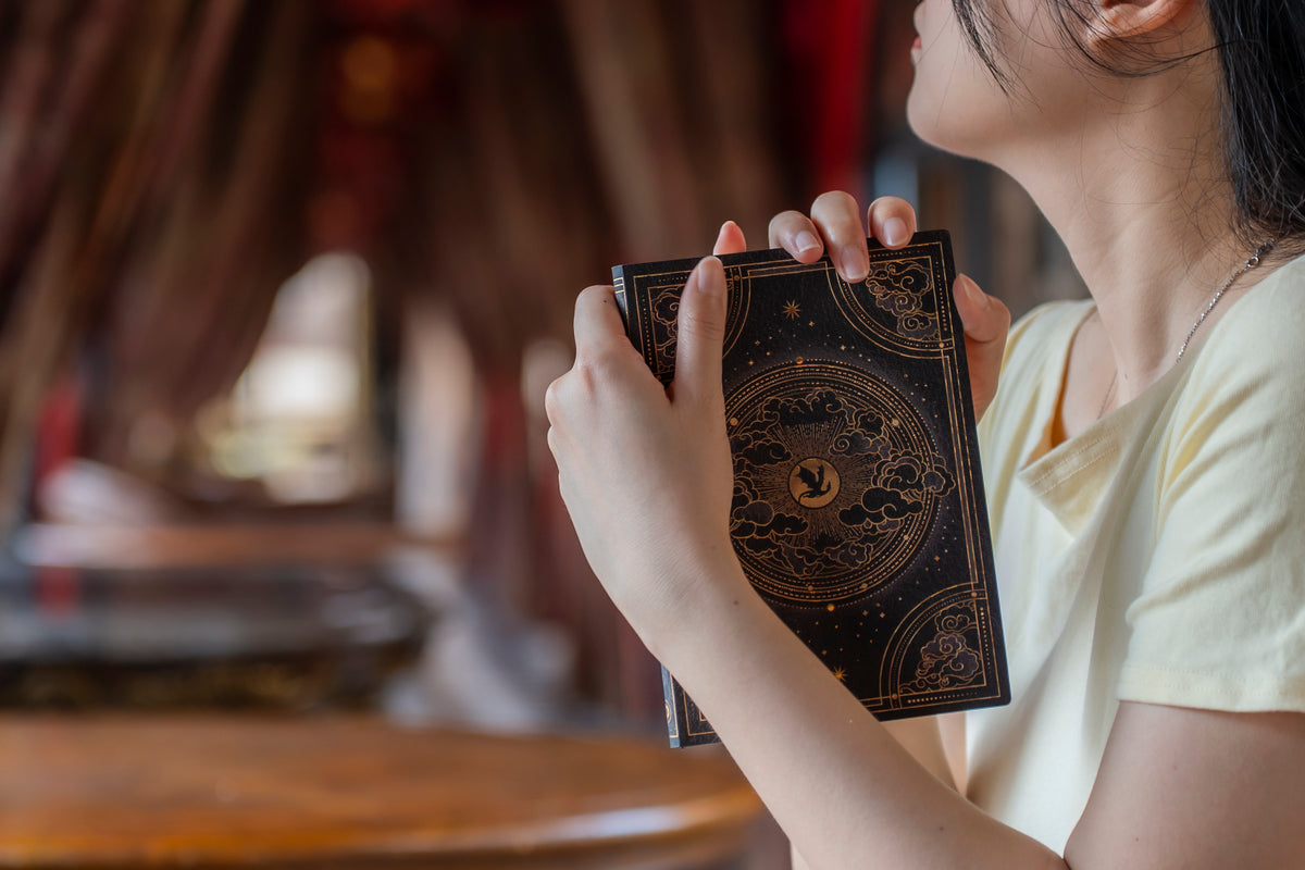 Paperblanks Shadows of Navarre Midi Softback Flexi Journal – Lined, 176 Pages – lifestyle image