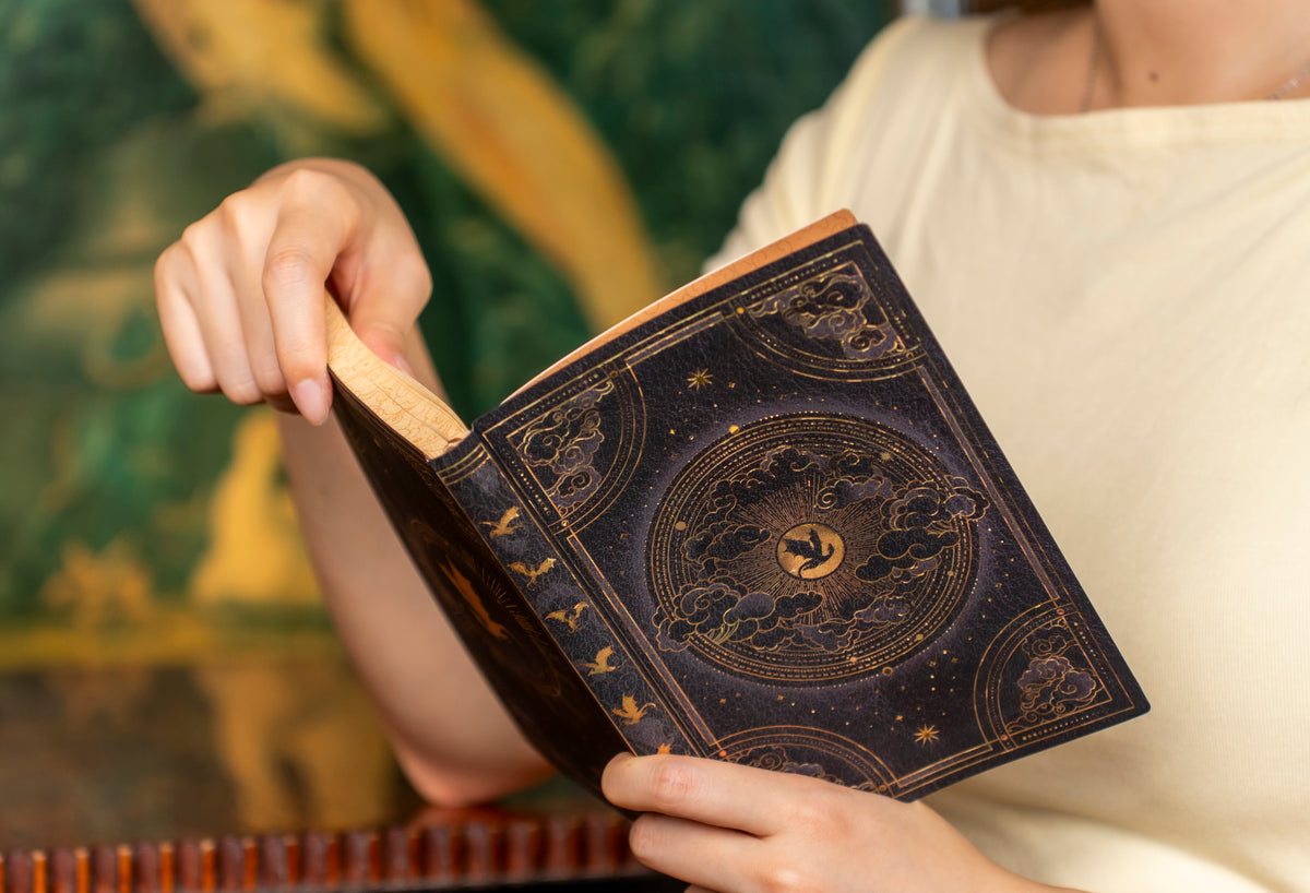 Paperblanks Shadows of Navarre Midi Softback Flexi Journal – Lined, 176 Pages – lifestyle image