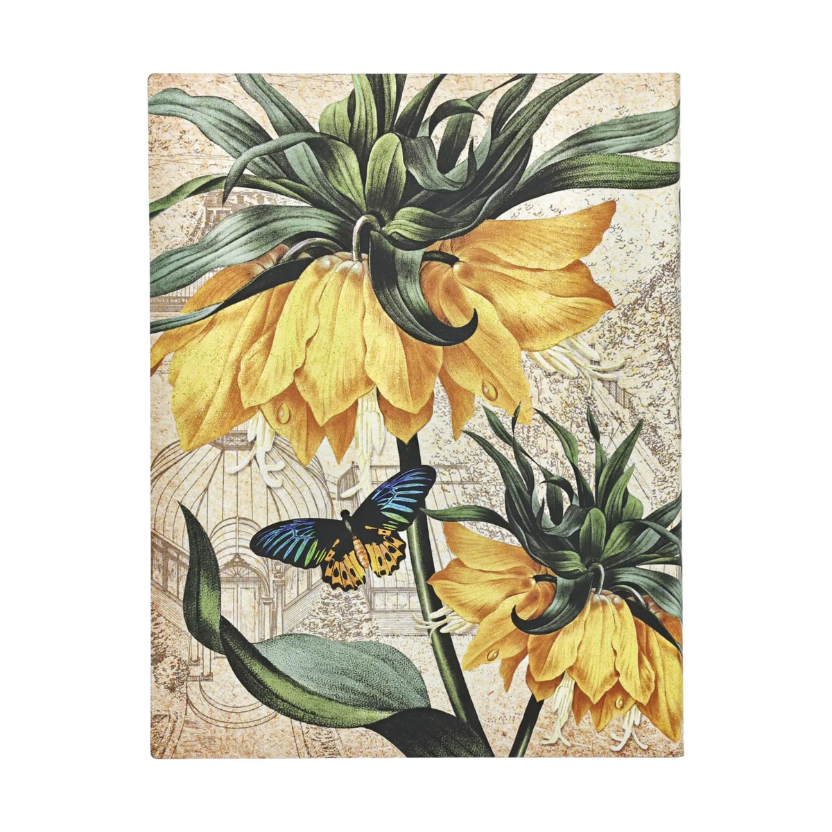 Paperblanks Golden Fritillaria Ultra Softback Flexi Journal – Plain, 176 Pages – back cover