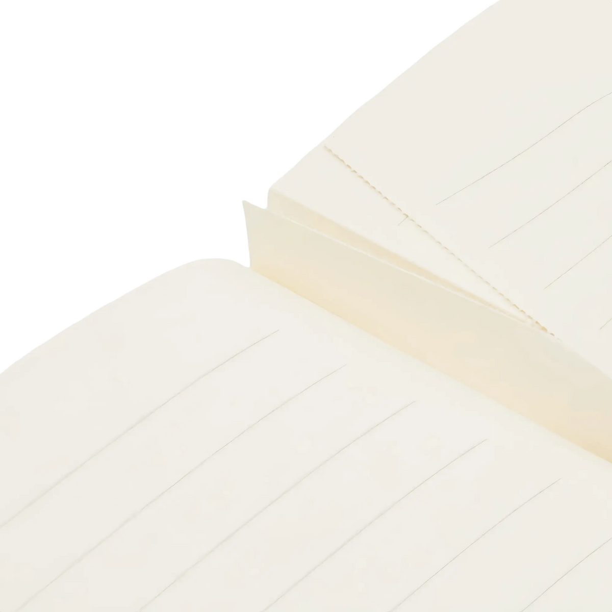 Paperblanks Pink Goes Good with Green A4 Cahier Notebook – Lined – inside pages