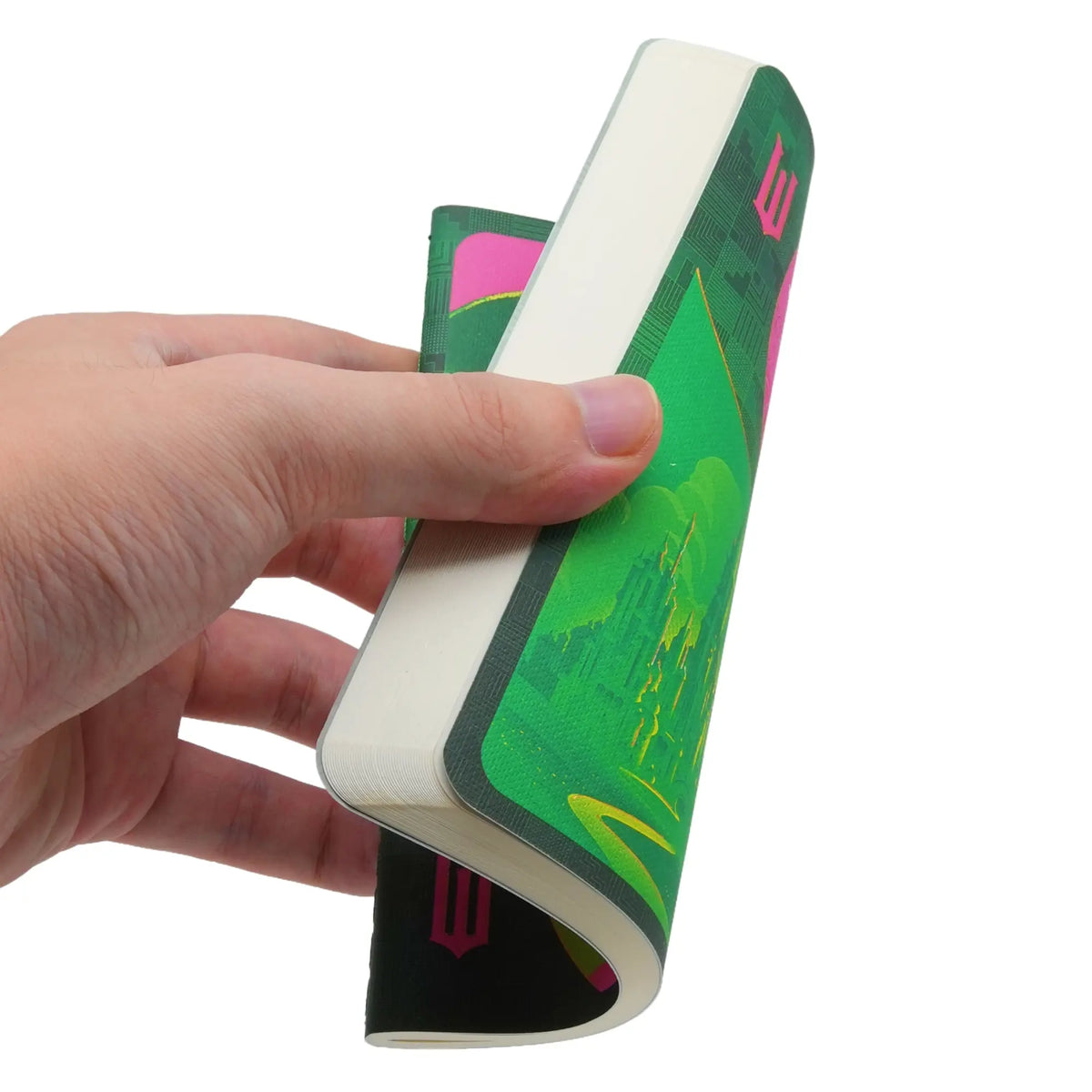 Paperblanks Pink Goes Good with Green A6 Cahier Notebook – Squared – back cover
