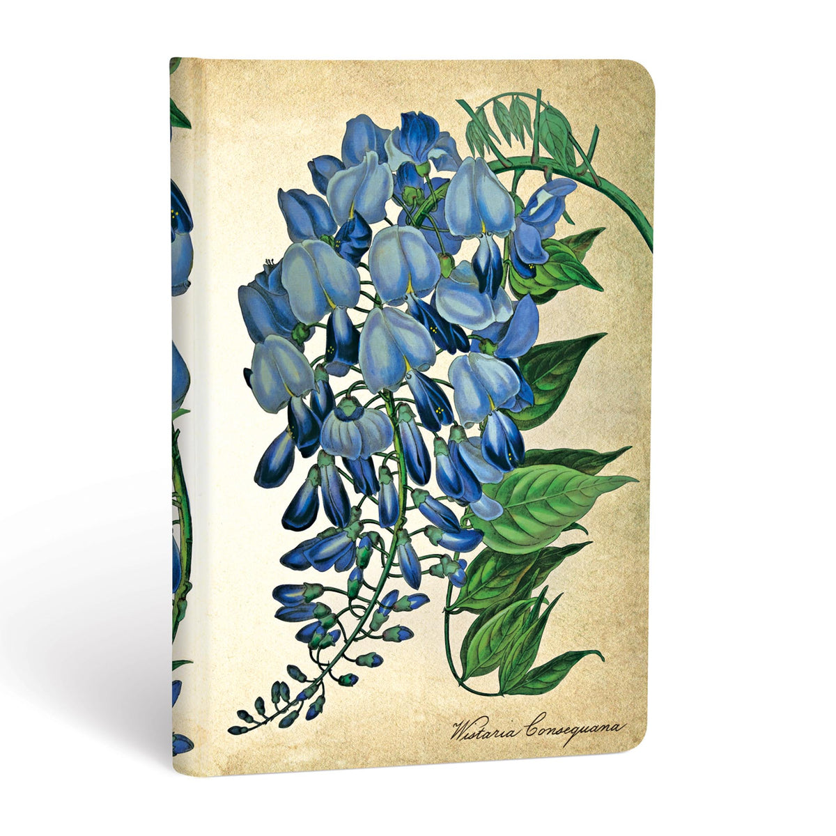Paperblanks Blooming Wisteria Mini Hardback Journal – Lined, 176 Pages – angled view