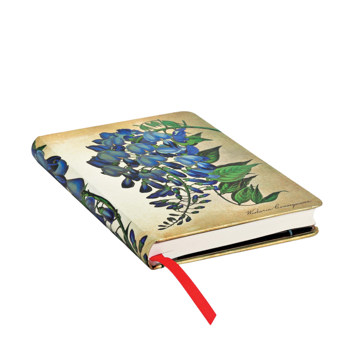Paperblanks Blooming Wisteria Mini Hardback Journal – Lined, 176 Pages – page edge