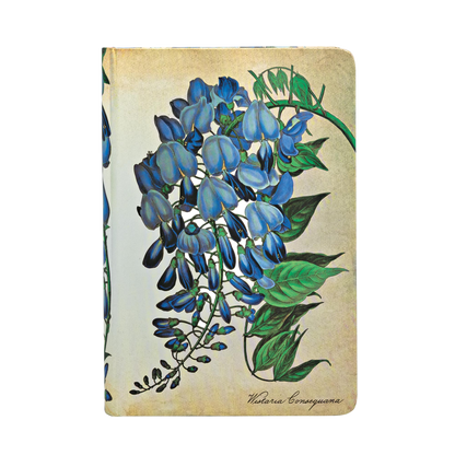 Paperblanks Blooming Wisteria Mini Hardback Journal – Lined, 176 Pages – front cover