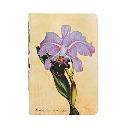 Paperblanks Brazilian Orchid Mini Hardback Journal – Lined, 176 Pages – front cover