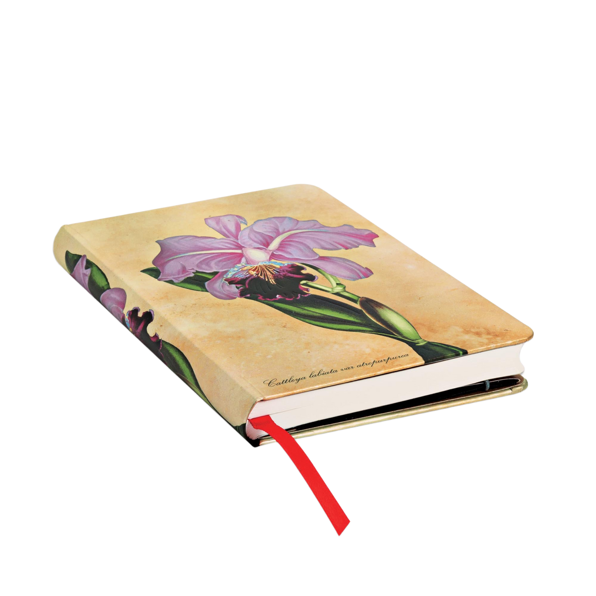 Paperblanks Brazilian Orchid Mini Hardback Journal – Plain, 176 Pages – page edge