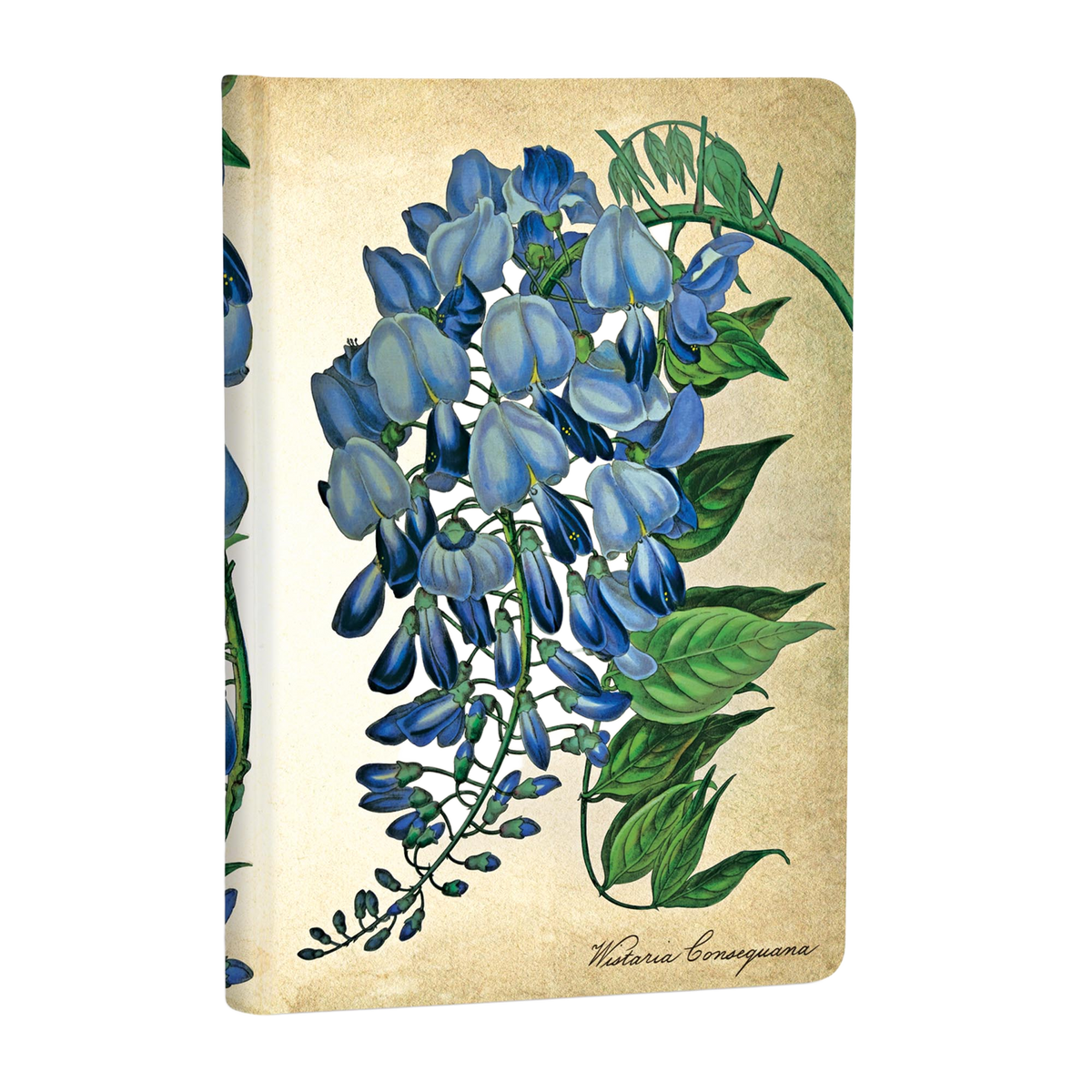 Paperblanks Blooming Wisteria Mini Hardback Journal – Plain, 176 Pages – angled view