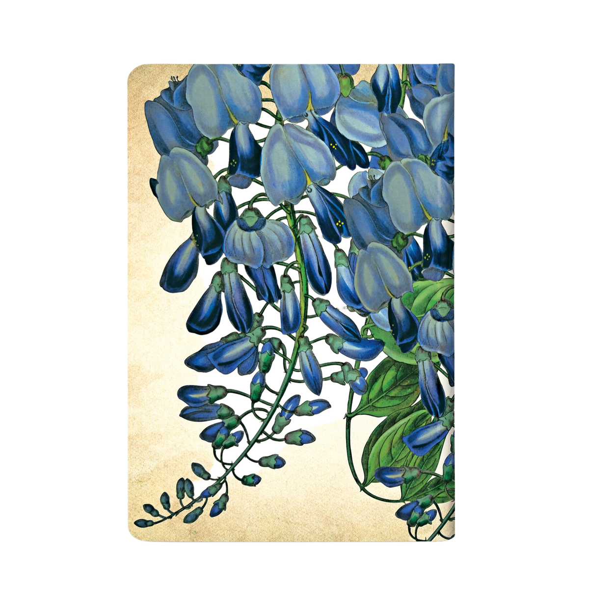 Paperblanks Blooming Wisteria Mini Hardback Journal – Plain, 176 Pages – back cover