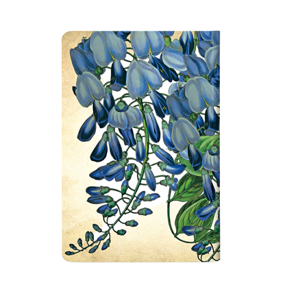 Paperblanks Blooming Wisteria Mini Hardback Journal – Plain, 176 Pages – back cover
