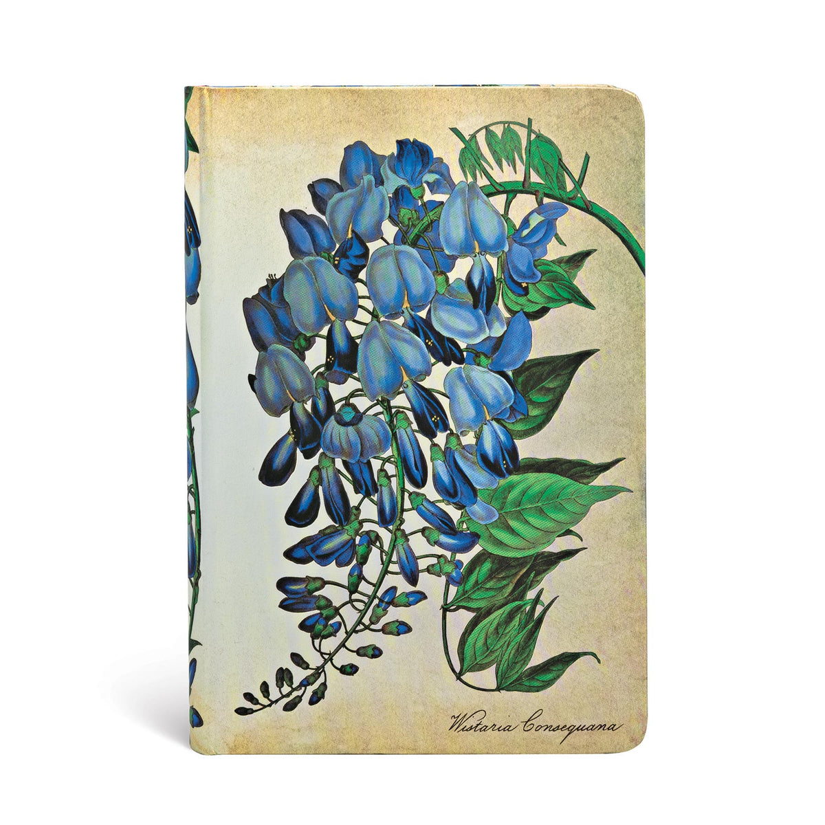 Paperblanks Blooming Wisteria Mini Hardback Journal – Plain, 176 Pages – front cover