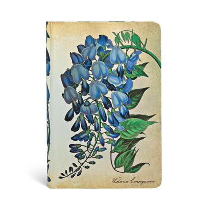Paperblanks Blooming Wisteria Mini Hardback Journal – Plain, 176 Pages – front cover