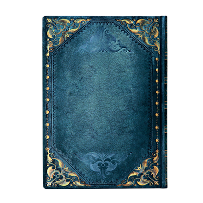 Paperblanks Peacock Punk Midi Hardback Journal – Lined, 144 Pages – back cover