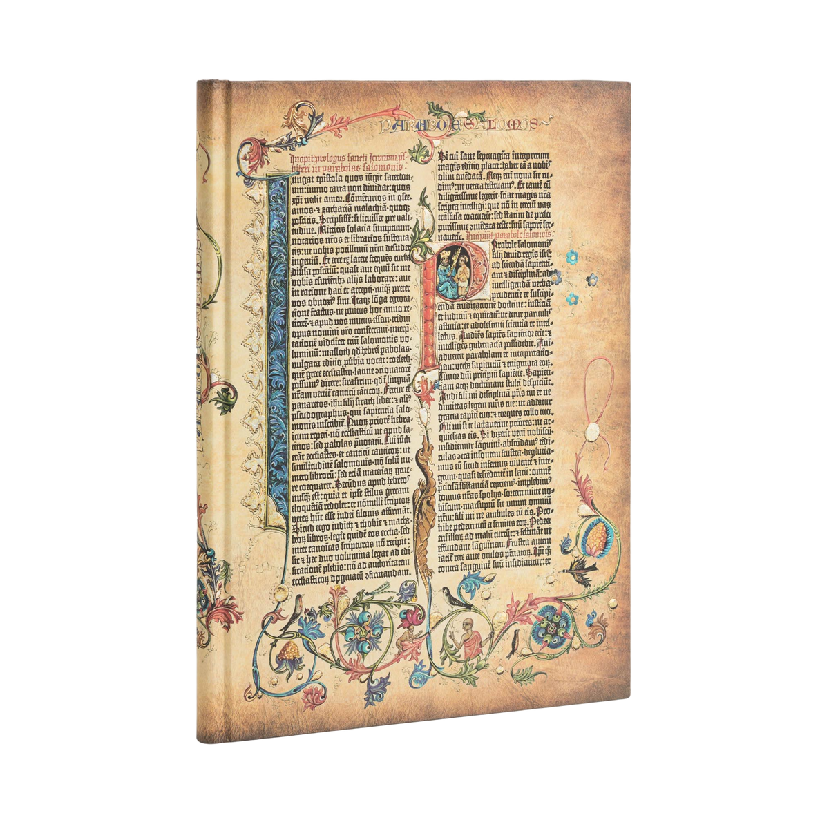 Paperblanks Parabole Grande Hardback Journal – Plain, 128 Pages – angled view