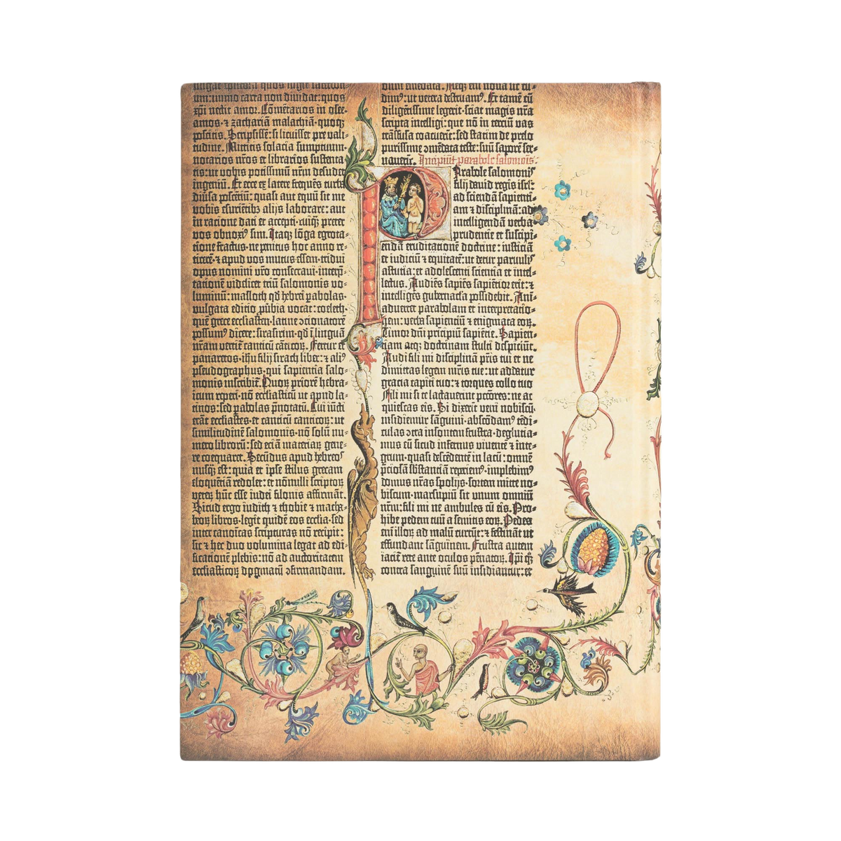 Paperblanks Parabole Grande Hardback Journal – Plain, 128 Pages – back cover
