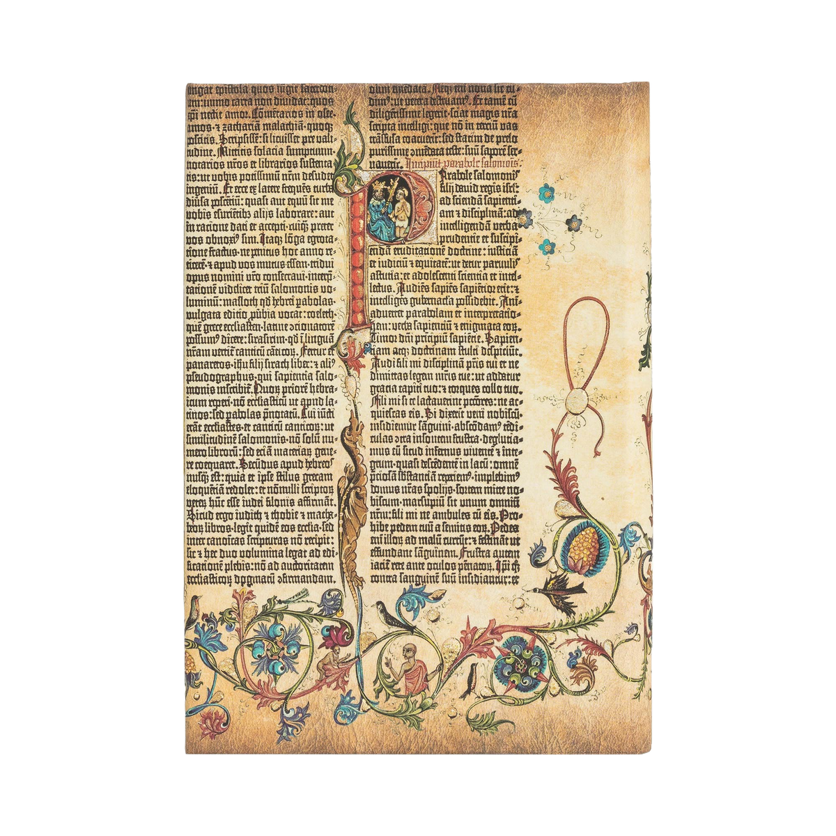 Paperblanks Parabole Mini Hardback Journal – Plain, 176 Pages – back cover