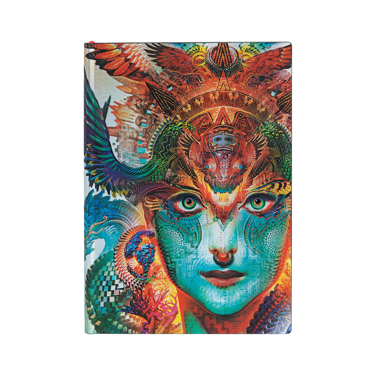 Paperblanks Dharma Dragon Midi Softback Flexi Journal – Plain, 240 Pages – front cover