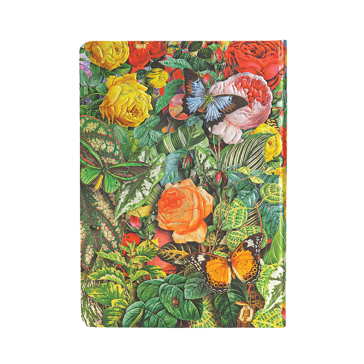 Paperblanks Butterfly Garden Midi Hardback Journal – Lined, 144 Pages – back cover