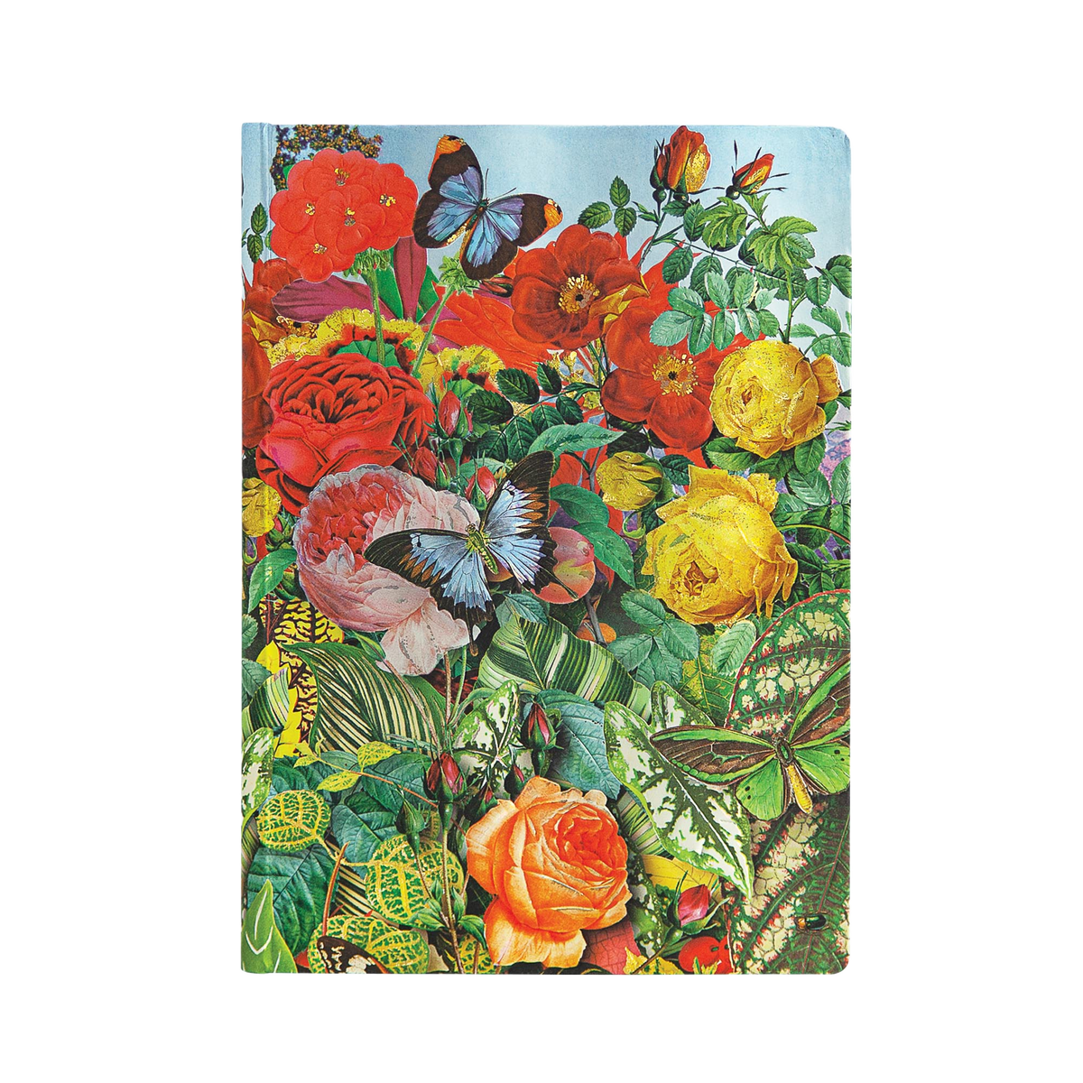 Paperblanks Butterfly Garden Midi Hardback Journal – Plain, 144 Pages – front cover