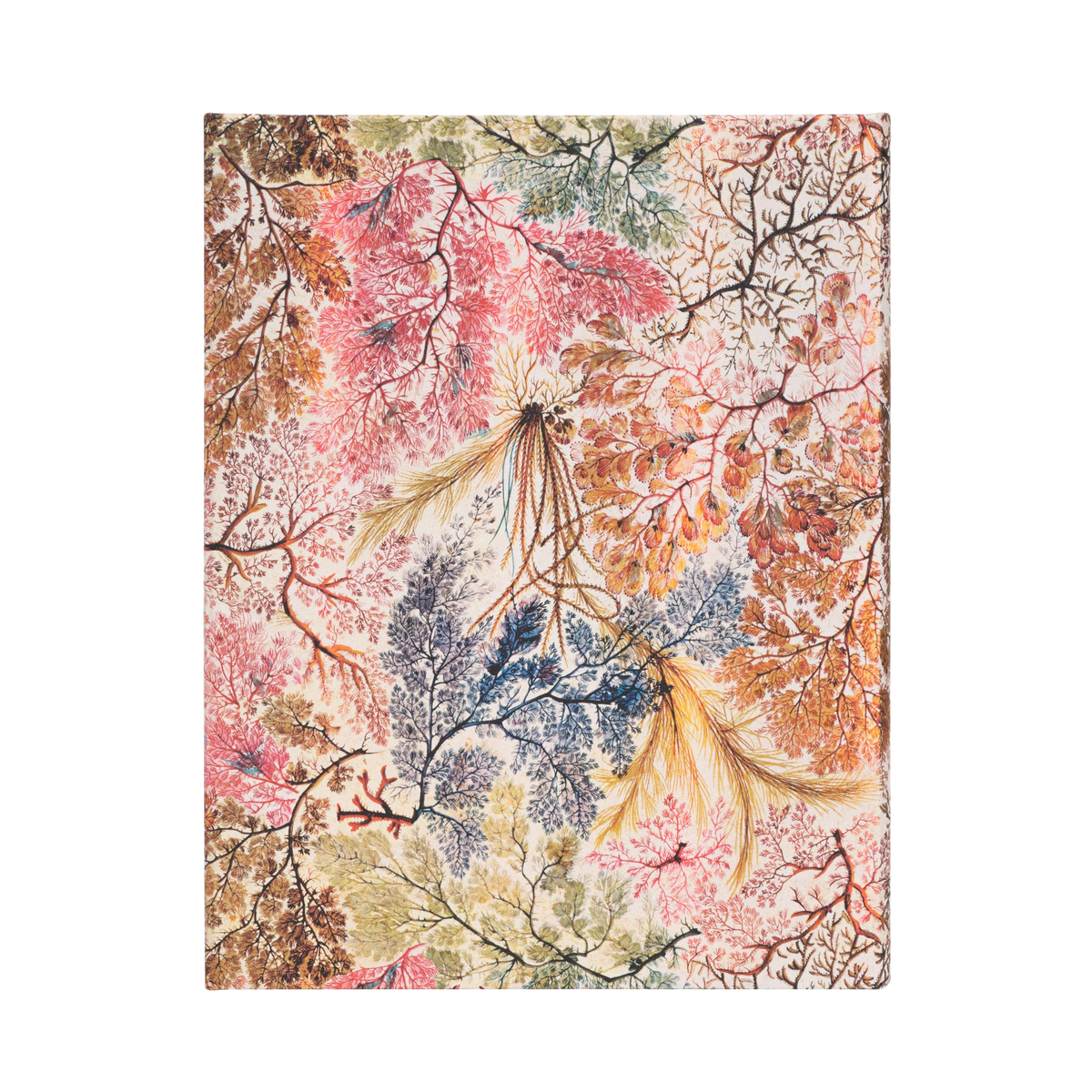 Paperblanks Anemone Ultra Hardback Journal – Lined, 144 Pages – back cover