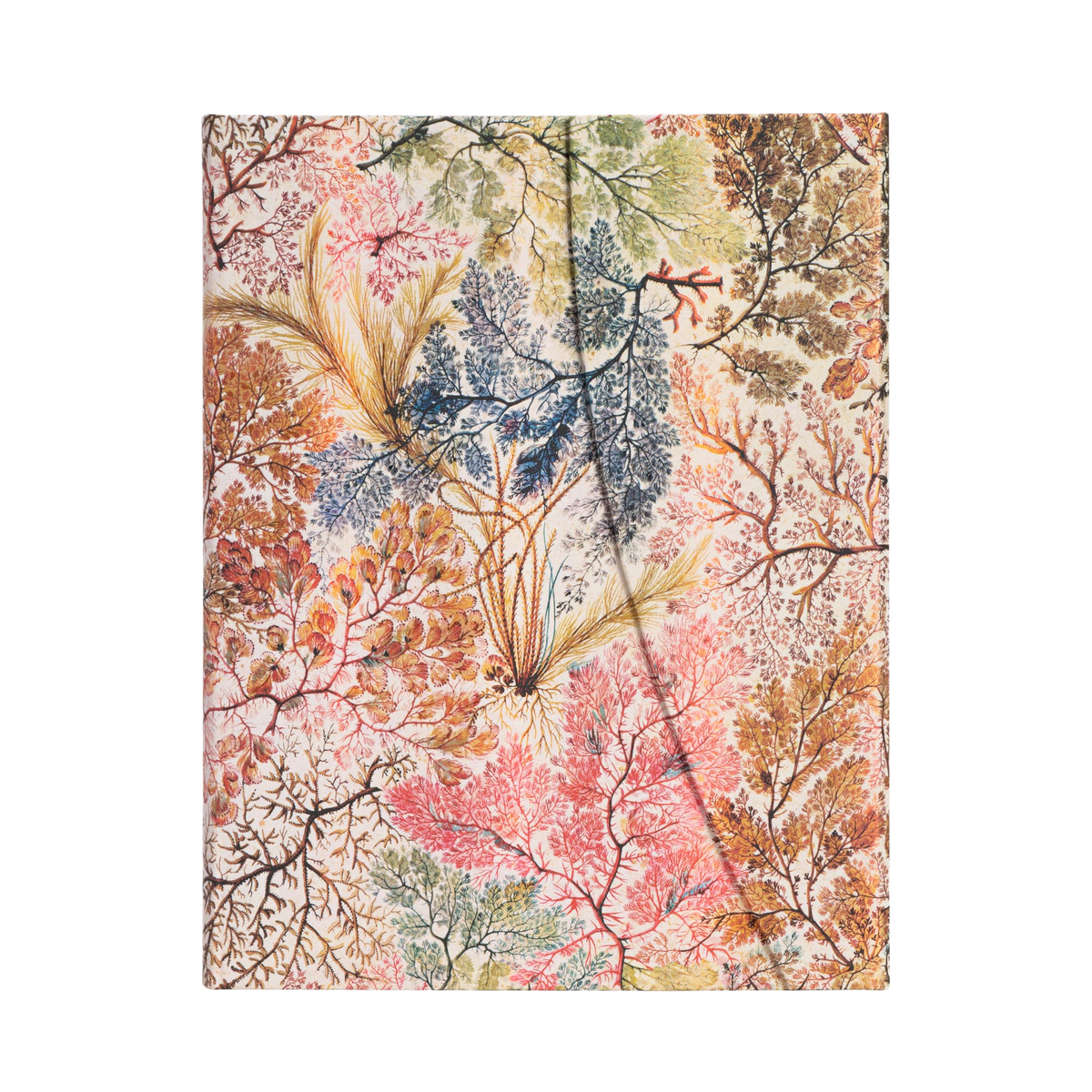 Paperblanks Anemone Ultra Hardback Journal – Lined, 144 Pages – front cover