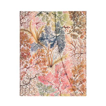 Paperblanks Anemone Ultra Hardback Journal – Lined, 144 Pages – front cover