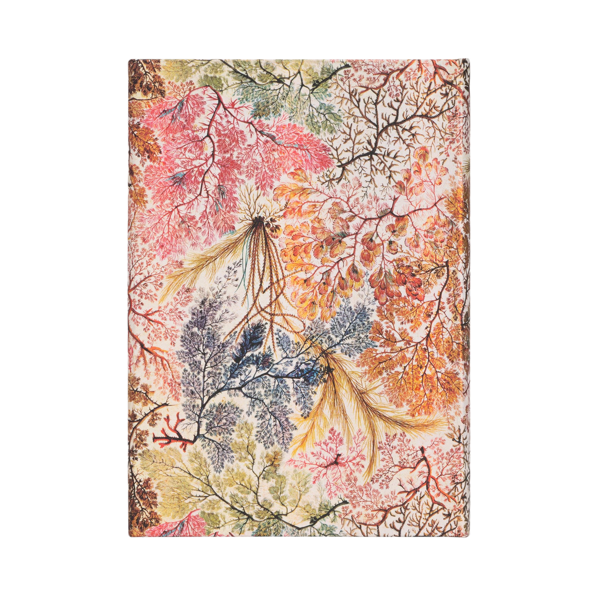 Paperblanks Anemone Midi Hardback Journal – Lined, 144 Pages – back cover