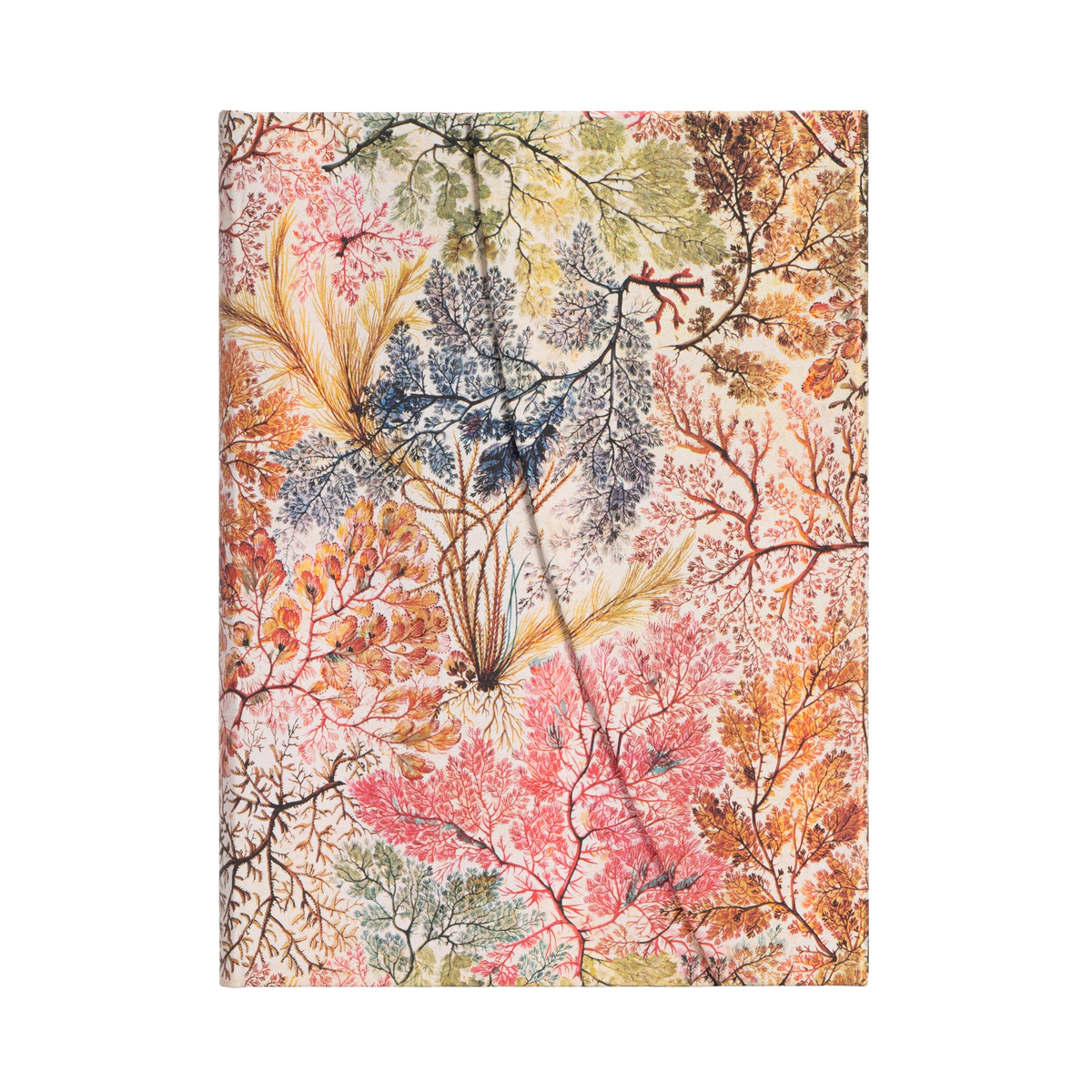Paperblanks Anemone Midi Hardback Journal – Lined, 144 Pages – front cover