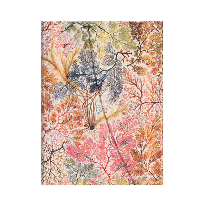 Paperblanks Anemone Midi Hardback Journal – Lined, 144 Pages – front cover